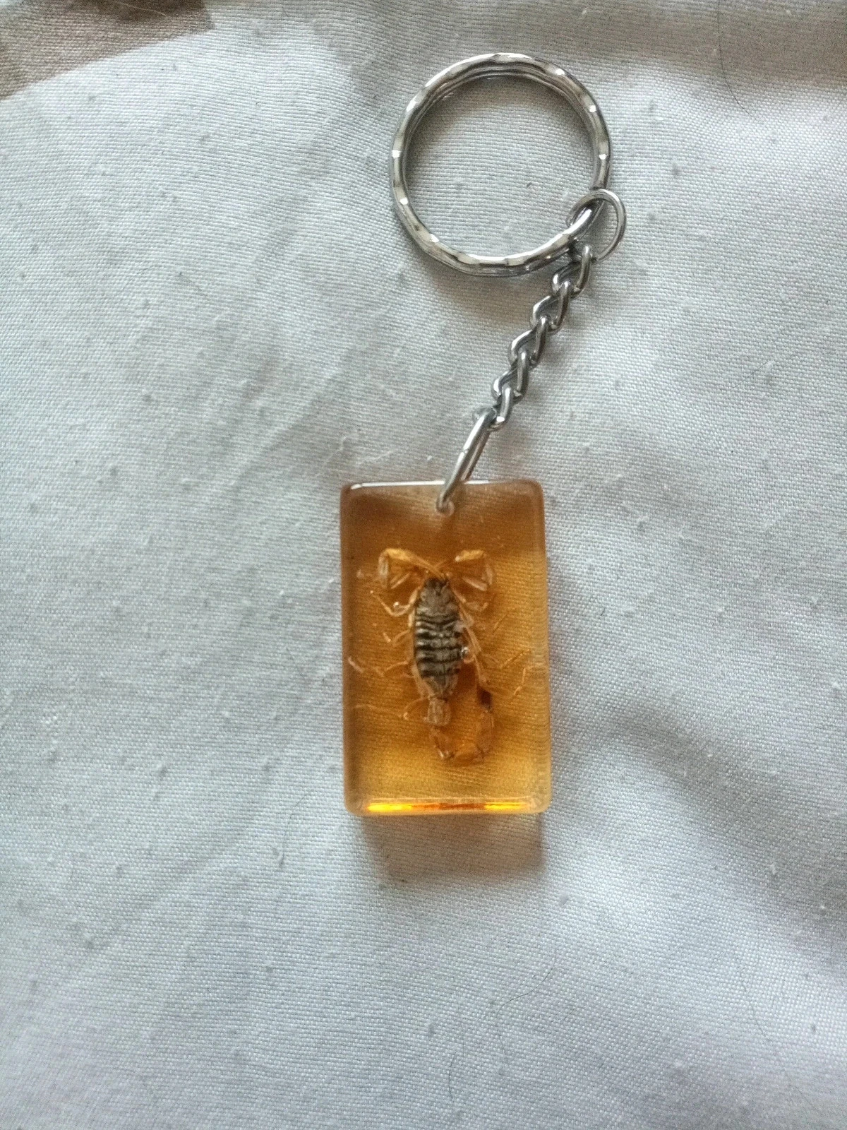 Scorpion Echt sleutelhanger in hars – photo 2